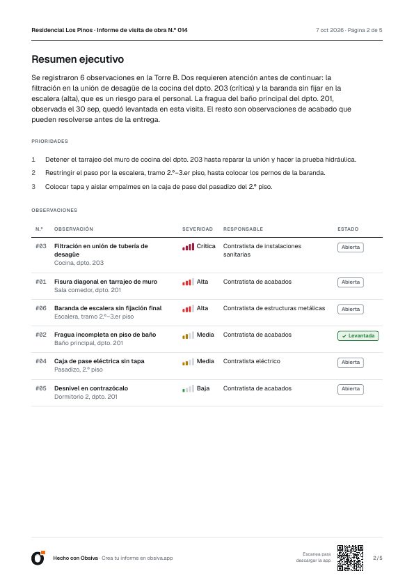 Resumen ejecutivo redactado por IA con prioridades y tabla de observaciones